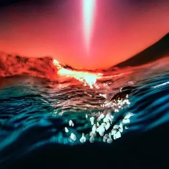 Пластинка Bonobo