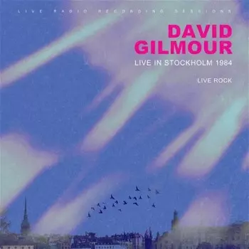 Пластинка David Gilmour