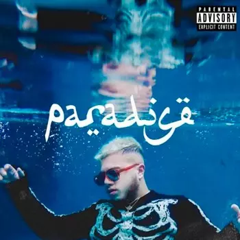 Пластинка Hamza