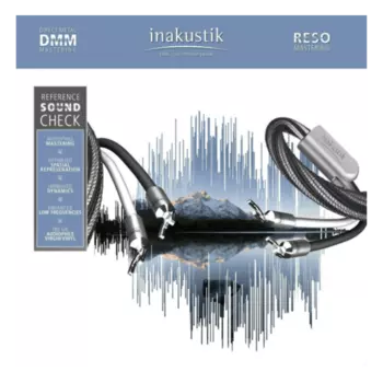 Пластинка Inakustik