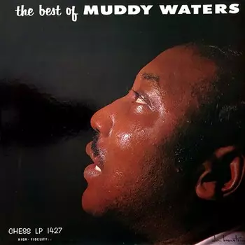 Пластинка Muddy Waters