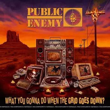 Пластинка Public Enemy