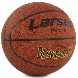 Мяч баскетбольный Larsen PVC5 р.5