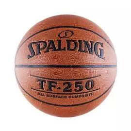 Баскетбольный мяч Spalding TF-250 №5 (74-537)