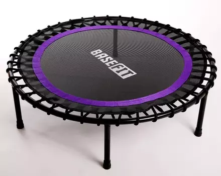 Батут BaseFit TR-501 101 см, фиолетовый