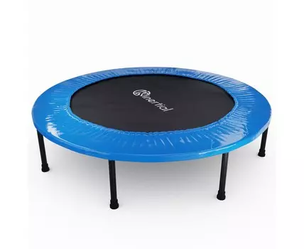 Батут DFC Kinertial 48'' 48inch-B синий