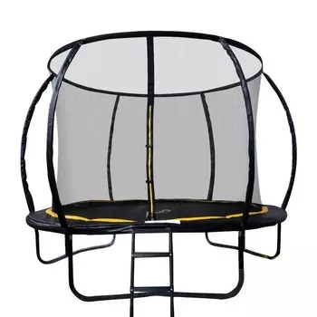 Батут Sport Elite 10FT 305 см с защитной сеткой (внутрь) с лестницей CFR-10FT-3