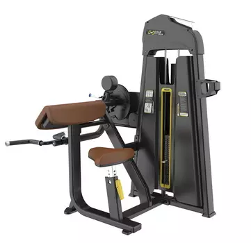 Бицепс/Трицепс сидя Camber Curl Triceps DHZ E-1087