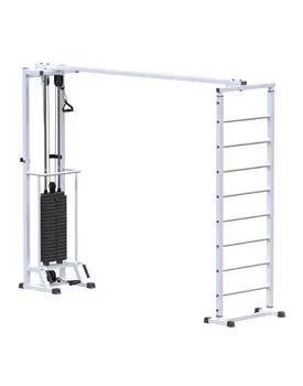 Биотонус (стек 100 кг) + шведская стенка ARMS AR087.1х2400