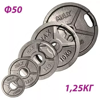 Блин крашеный Sportex Max d51 мм, 1,25 кг GBS14116 хамертон