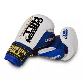 Боксерские перчатки Green Hill Legend BGL-2246, сине-белые 12 oz