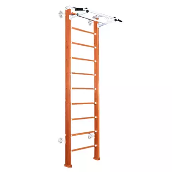 Детский спортивный комплекс Дом Карусель 2Д.03.02 к стене