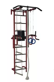 Детский спортивный комплекс Крепыш плюс пристенный с брусьями - 1