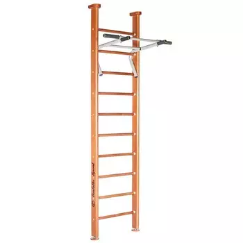 Детский спортивный комплекс Perfetto Sport Salute PS-101