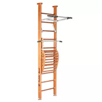 Детский спортивный комплекс Perfetto Sport Salute PS-101 с тренажёром Vinsere PS-121