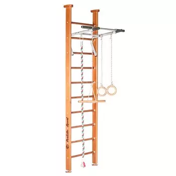 Детский спортивный комплекс Perfetto Sport Vostro PS-103