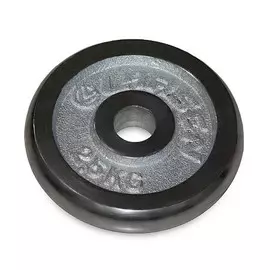 Диск хромированный Larsen д31мм 2,5кг NT125