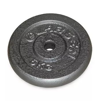 Диск окрашенный серый д26мм 5кг Larsen NT118