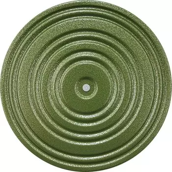 Диск здоровья металл, 28 см, зеленый/черный, MR-D-03