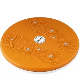 Диск здоровья Torres AL1010 D25см