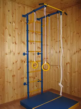 Домашний спортивный комплекс Городок пристенный