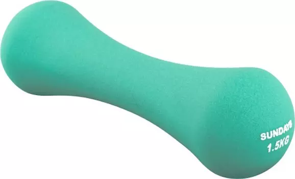 Гантель 1,5кг Sundays Fitness IR92004-D 6062984 бирюзовый