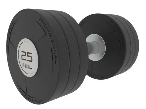 Гантель 25 кг Interatletika ST555.25