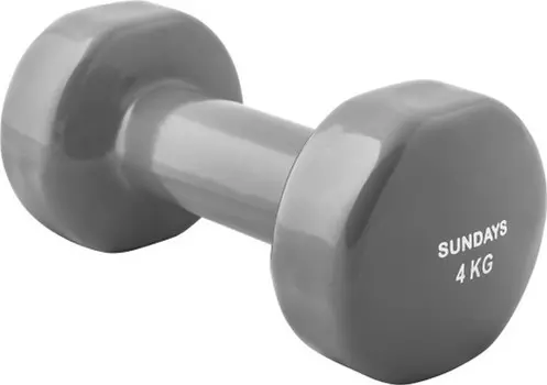 Гантель 4кг Sundays Fitness IR92005 6062980 серый