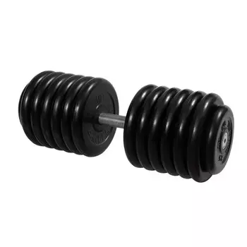 Гантель неразборная, с невращ. хром. ручкой, 66 кг MB Barbell MB-FdbM-BN66
