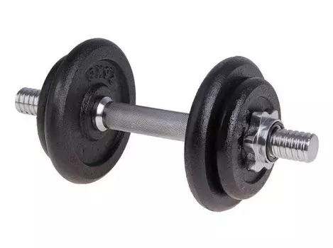 Гантель разборная 10 кг Atemi ADS06J черный