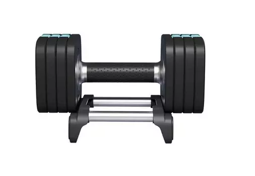 Гантель разборная быстросъемная 10кг PROIRON ГБ1100Р