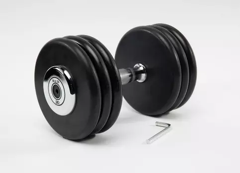 Гантель разборная RED Skill 20 кг