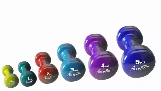 Гантель в виниловой оболочке 0,5 кг Aerofitt AFVD0.5 желтый