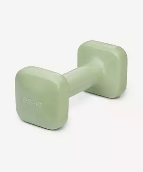 Гантель виниловая 2,5 кг Star Fit DB-106 оливковый