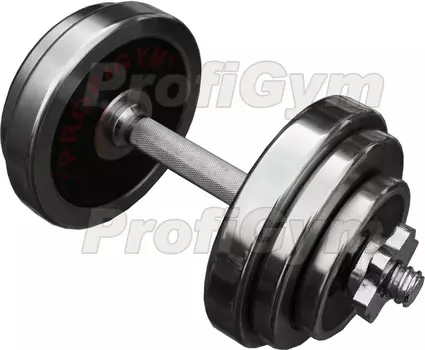 Гантели разборные ProfiGym 20 кг, пара ГРХ-20