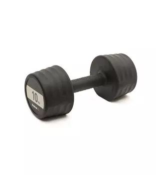 Гантели Reebok RSWT-16060 2x10 кг (пара)