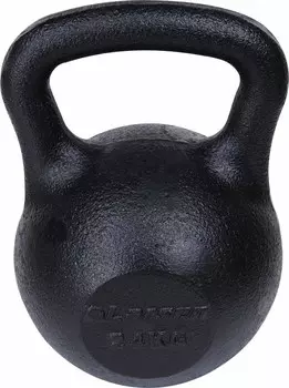 Гиря цельнолитая Larsen NT170C 24 кг (629)