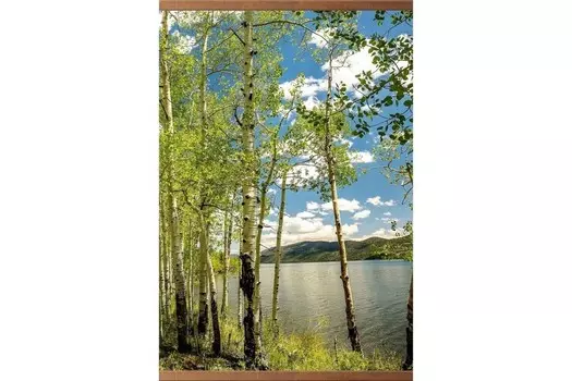 Электрообогреватель настенный Тепломакс Березки, 0.5кВт Т-ДОБ