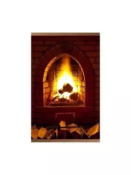 Электрообогреватель настенный Тепломакс Камин, 0.5кВт Т-ДОКМ