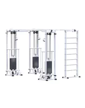 Кроссовер ARMS Биотонус-3 (стек 3х75кг)+ шведская стенка AR087.3х2200