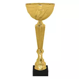 Кубок KB 5010 E (H-29 см, D-100 мм)