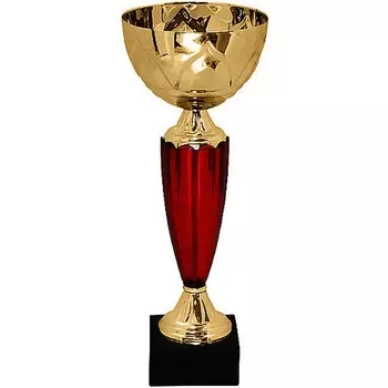 Кубок KB 8370 А (H-26,5 см, D-120 мм)