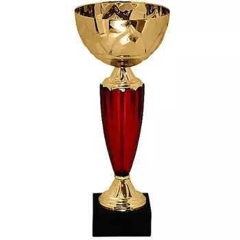 Кубок KB 8370 B (H-24 см, D-120 мм)