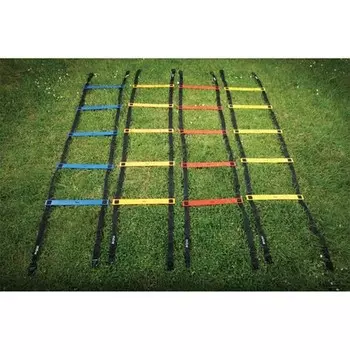 Лестницы для тренировок Mitre A4003AAA, 4 шт, длина 2 м, пластик, мультиколор