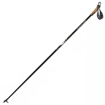 Лыжные палки Fischer Superlite (2020) Алюминий Z44020 черный