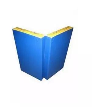 Мат гимнастический в 2 сложения 100х200х10см Atlet IMP-A101