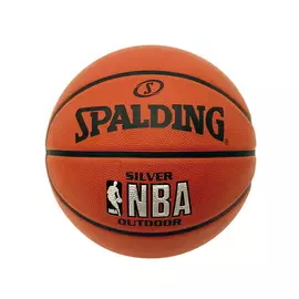 Мяч баскетбольный Spalding NBA Silver № 7 (83016Z)