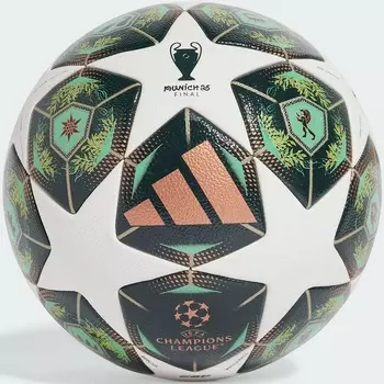 Мяч футбольный Adidas UCL Competition, FIFA Quality Pro JH1288 р.5