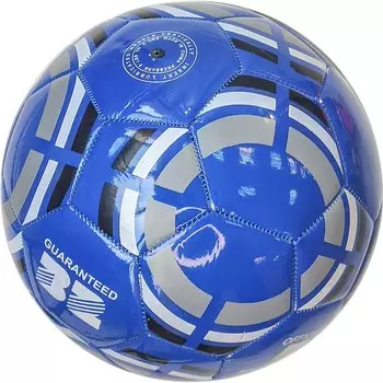 Мяч футбольный Sportex E33519 р.5