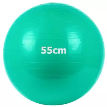 Мяч гимнастический Gum Ball d55 см Sportex GM-55-3 зеленый
